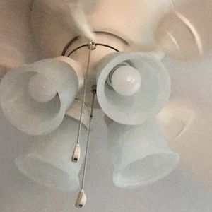 Meet your Posher, Otis